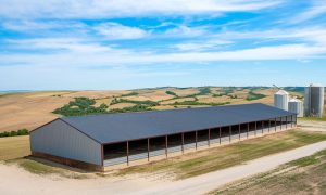 70x300 agricultural cow barn metal building with open sides, a black roof, and space for 600 head of cattle, set in rolling farmland