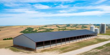 70x300 agricultural cow barn metal building with open sides, a black roof, and space for 600 head of cattle, set in rolling farmland
