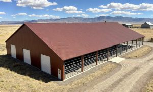 freestall barn